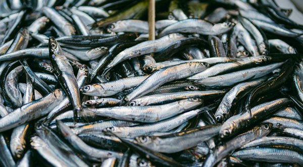 What are the Latest Innovations in Managing Health and Disease in the UK?